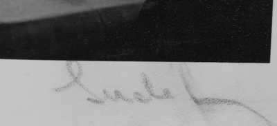  / Pohled z altánku / Josef Sudek