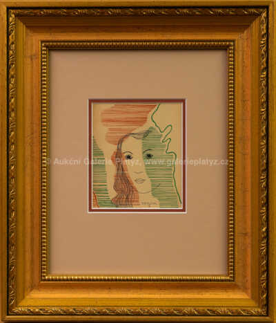 Marie Čermínová - Toyen - Zasněná s dlouhými vlasy (Nataša Gollová)