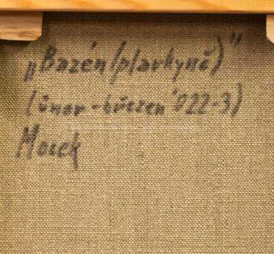  / Plavkyně / Jiří Mocek