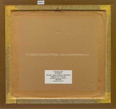  / Piazzeetta - Sloup sv. Marka v Benátkách / Jan  Zrzavý