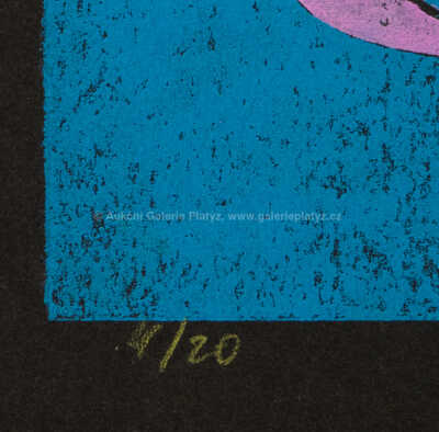  / Bílá kytka / Karel Valter