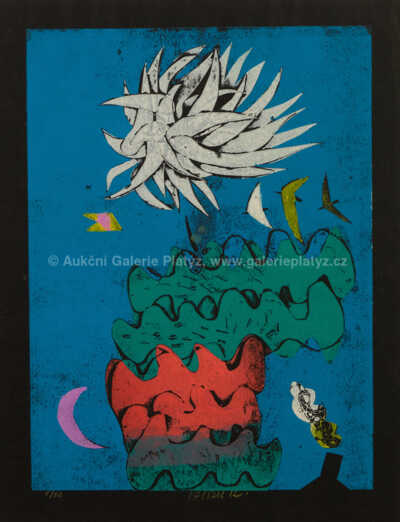  / Bílá kytka / Karel Valter