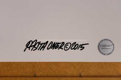  / Arcade Paradise II. / Pasta  Oner