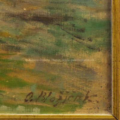  / Opuštěné napajedlo / Oldřich Blažíček