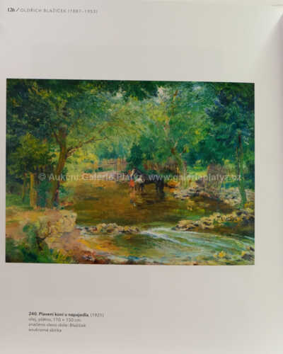  / Opuštěné napajedlo / Oldřich Blažíček