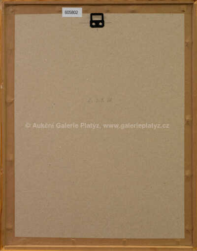  / Černý Arlecchino / František  Tichý