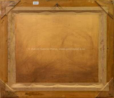  / Břízky / Gustav Macoun