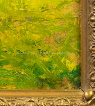  / Břízky / Gustav Macoun