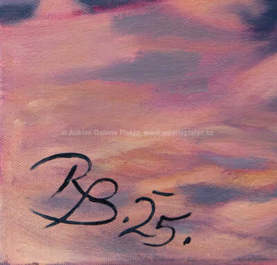  / Corvette / Radek Baláž