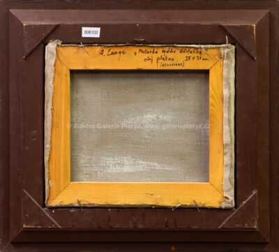  / Motorka mého dědečka / Adolf Lange