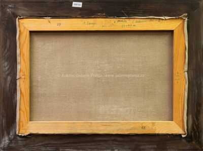  / Andula / Adolf Lange