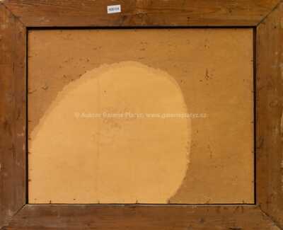  / Pohled do údolí / Jindřich Bubeníček