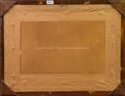  / Za chalupou / František Cína - Jelínek