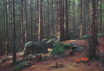  / Slunce v lese / František Daněk - Sedláček