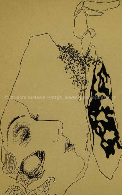  / Zasněná dívka s růží / Marie Čermínová - Toyen