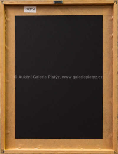  / Zasněná dívka s růží / Marie Čermínová - Toyen