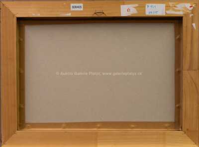  / Krajina / Lev Šimák