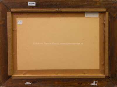  / Na Sázavě / Lev Šimák