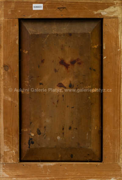  / Před zrcadlem /   Autor neurčen