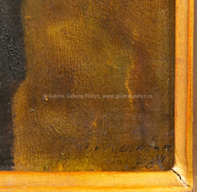  / Před zrcadlem /   Autor neurčen