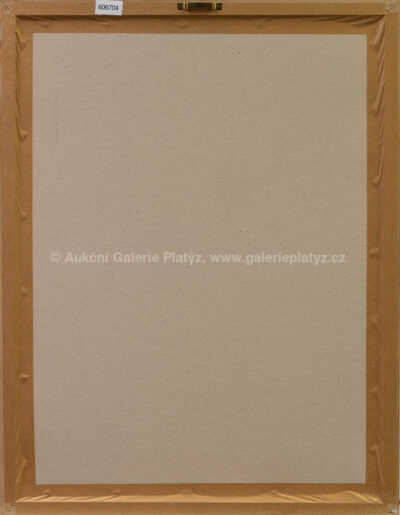  / Setkáni se zdánlivě milými domorodci / Adolf Born