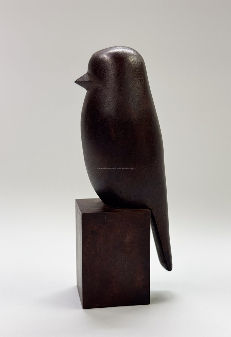  / Ptáček / Ota Janeček