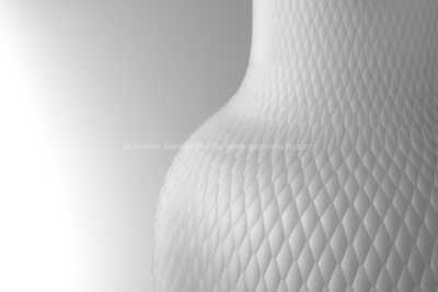  / Metamorphosis / Rony Plesl