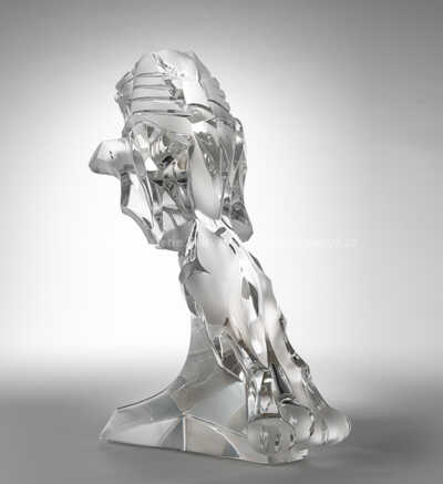  / Cena Český lev / Jakub Švéda