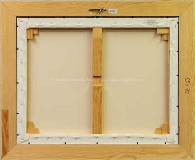  / Olympia z Jíloviště / František Ringo Čech