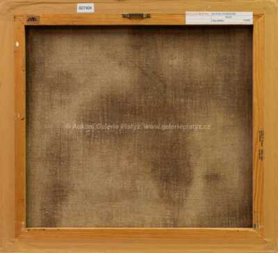  / Sever / Liliana Maftei