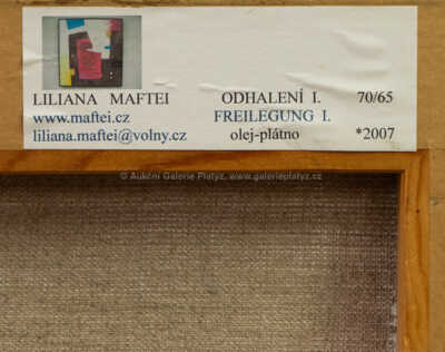  / Odhalení / Liliana Maftei
