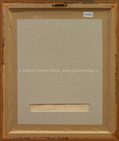  / Měšťák na venkově / Josef Lada