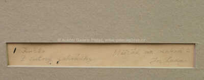  / Měšťák na venkově / Josef Lada