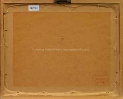  / Soňa / Kája Saudek