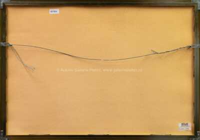  / 100 000 Dollars / Oldřich Kulhánek