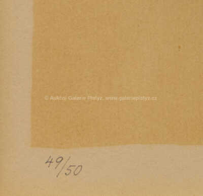  / Motýli / Max Švabinský