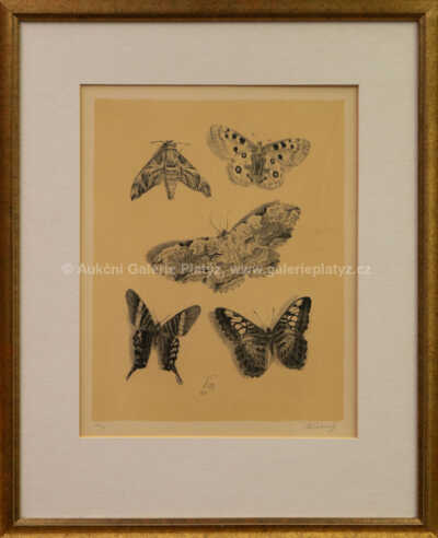 Max Švabinský - Motýli