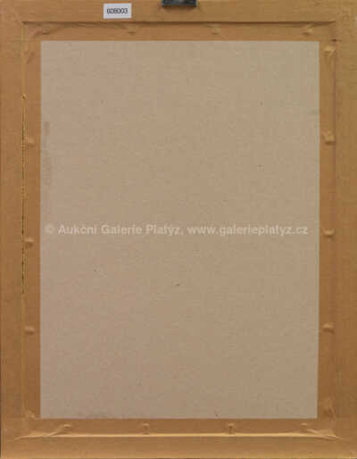  / Vyšehrad / Josef Jíra