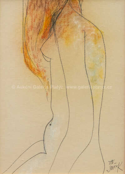  / Dívka s rozpuštěnými vlasy / Ota Janeček