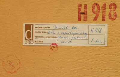  / Dívka s rozpuštěnými vlasy / Ota Janeček