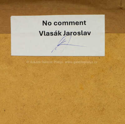  / No comment / Jaroslav Vlasák