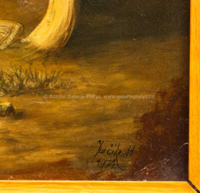  / Zátiší / H. Jurčík