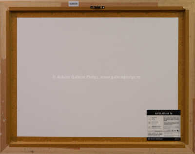  / V pravěku (Plaz rodu Moschops) / Petr Modlitba