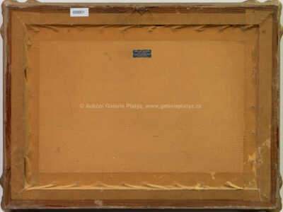  / Lokomotivy / Jaroslav Ronek