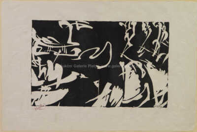  / Bílé rytmy na černém / František Kupka