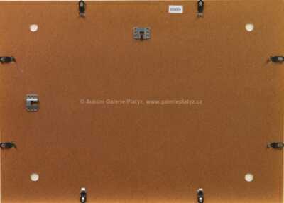  / Bílé rytmy na černém / František Kupka