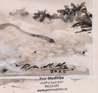  / Brontosaurus Parvus / Petr Modlitba