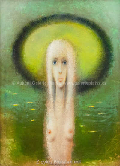  / Z cyklu Probatum est / Vlastimil Zábranský