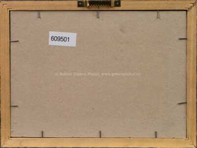  / Peklo (z cyklu Poznámky) / Josef Sudek