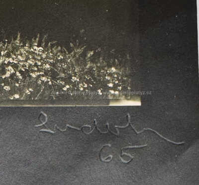  / Peklo (z cyklu Poznámky) / Josef Sudek